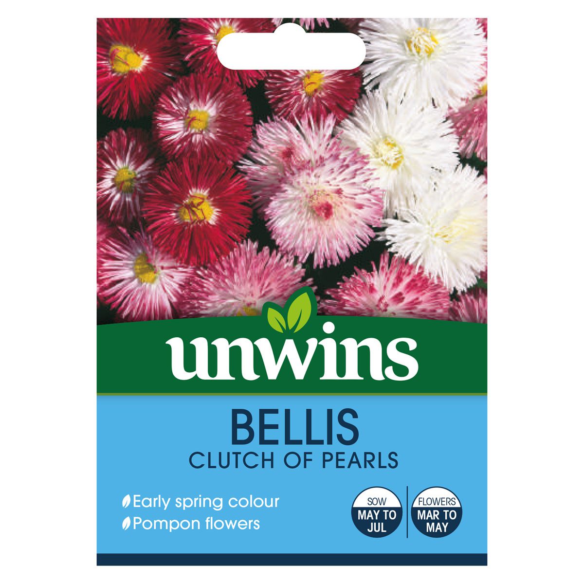 5051618010313 1 Bellis Clutch Of Pearls Seeds.jpg